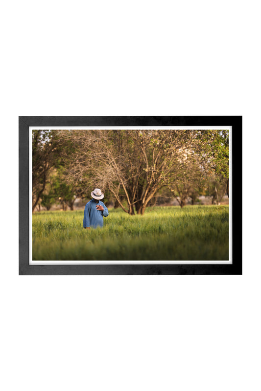 4.2 A Canvas of Green and Quiet